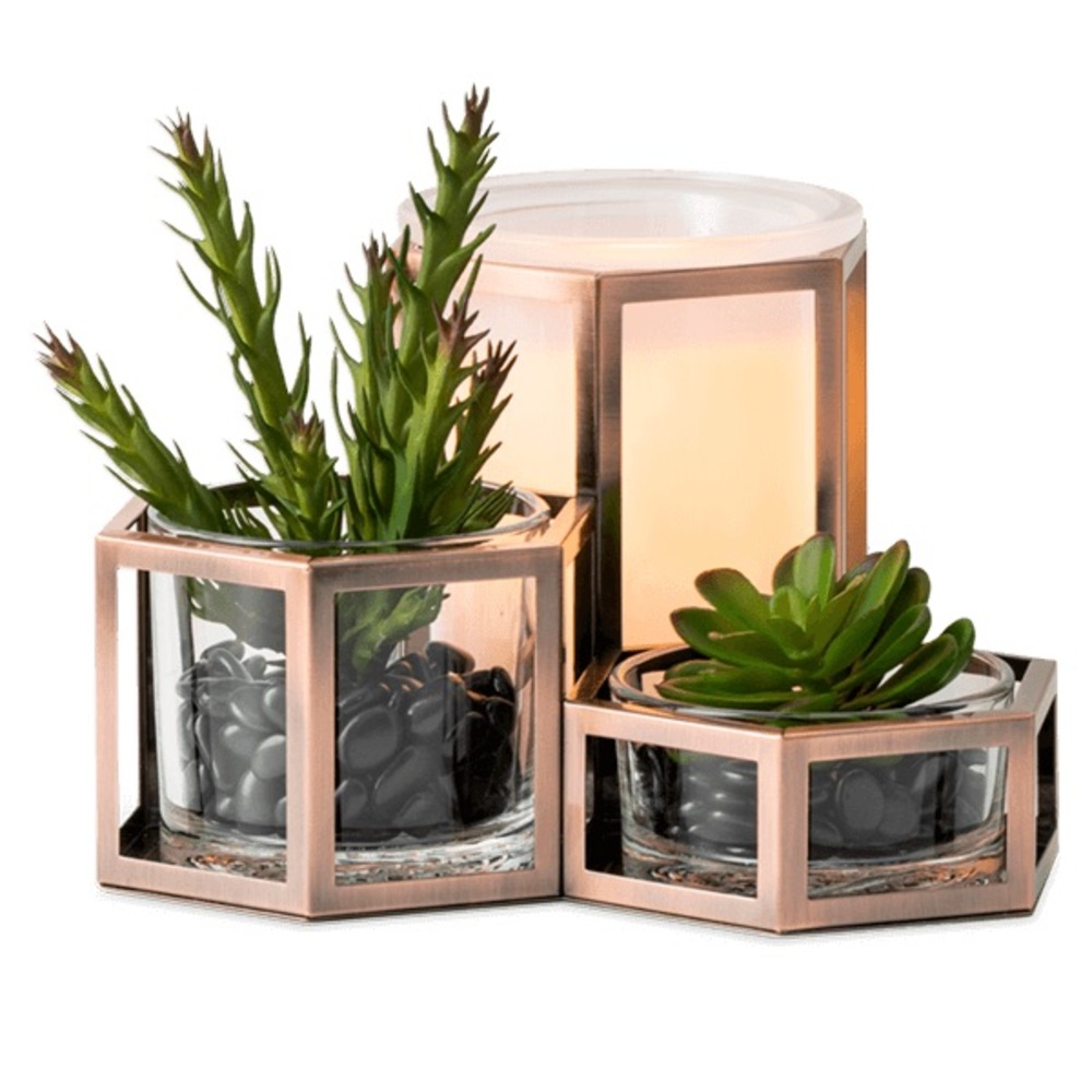 Wild desert scentsy warmer brand new in box